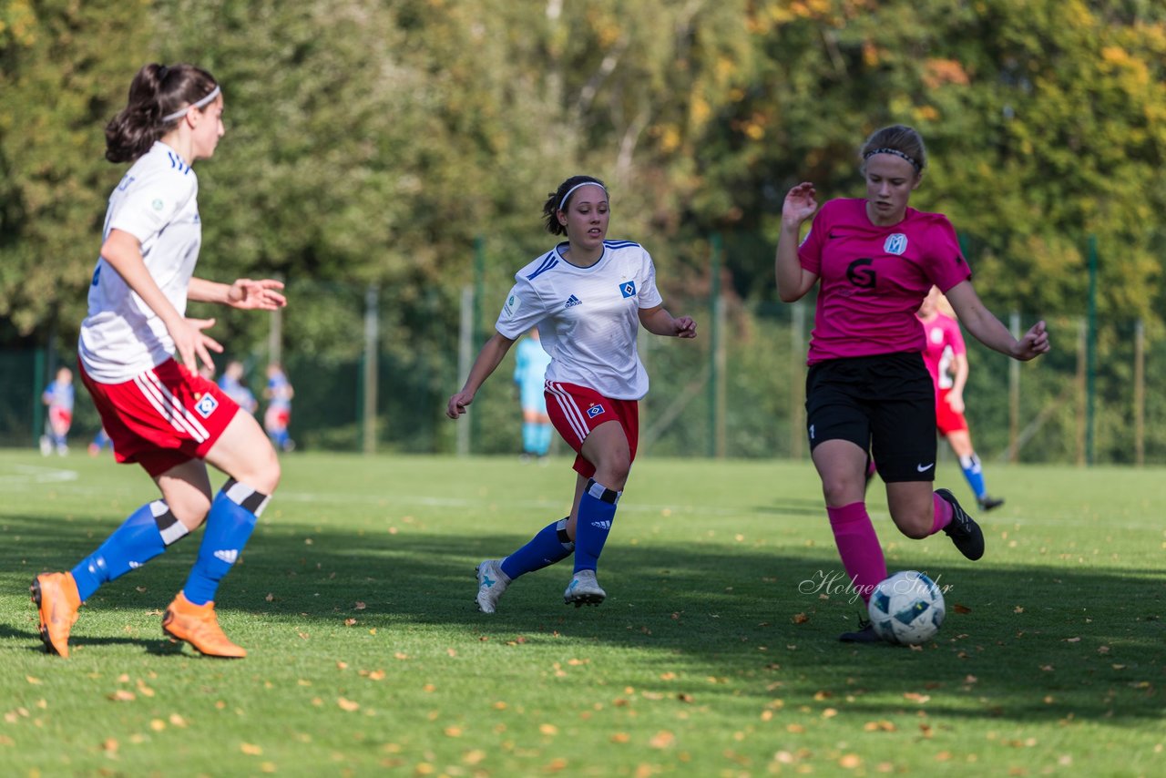 Bild 216 - wBJ HSV - SV Meppen : Ergebnis: 0:2